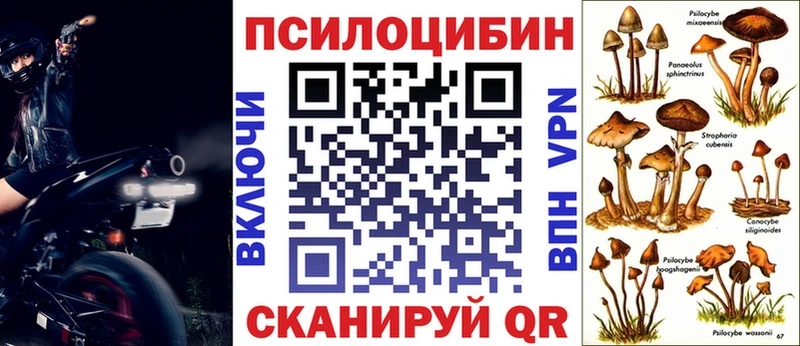где купить наркоту  Нижняя Тура  ссылка на мегу рабочий сайт  Псилоцибиновые грибы мицелий 
